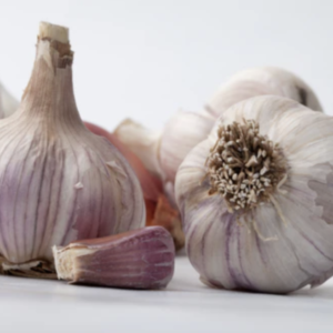 Turkish Garlic $12 a lb.
